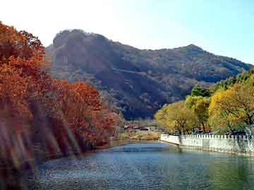 新澳天天免费资料大全，上海排水板